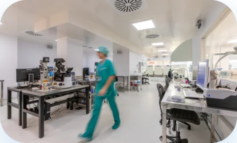 óvulos vitrificados